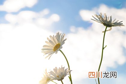 2022年农历三月二十六这天是剪头发的黄道吉日吗？