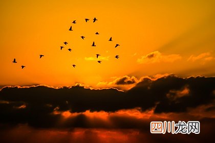 2022年清明节能剪头发吗？理发上午还是下午吉利？