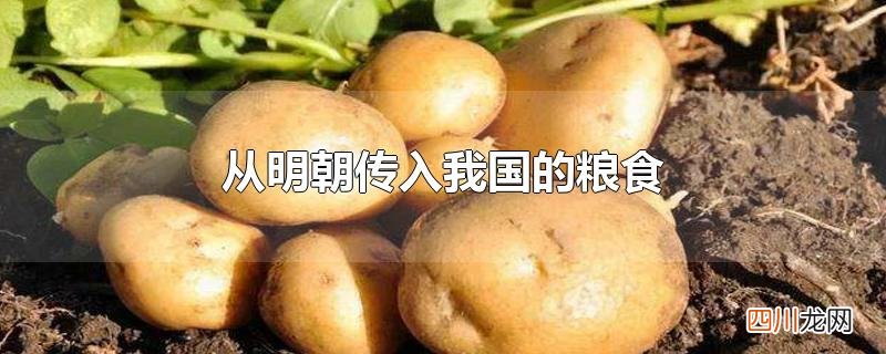 从明朝传入我国的粮食