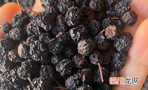 俄罗斯黑果长期吃有副作用吗