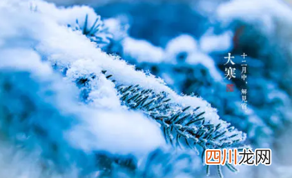 2022三九最冷还是大寒最冷