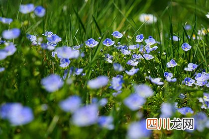 2022年农历三月三是哪天？三月三又称什么节？