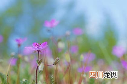 2022年的三月三上巳节是什么时候？上巳节怎么过？
