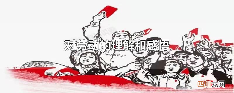 对劳动的理解和感悟