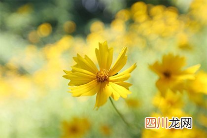 2022年三月十五日可以求婚吗？是求婚的吉日吗？