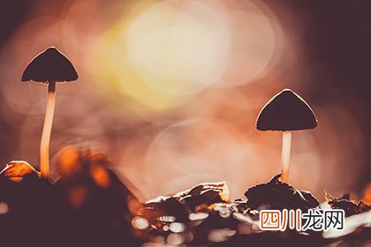 2022年壬寅年农历二月中有几个节气？是哪几个？