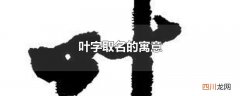 叶字取名的寓意是什么 叶字取名的寓意