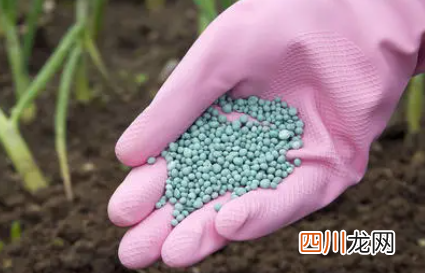 买花送的肥料可以用吗