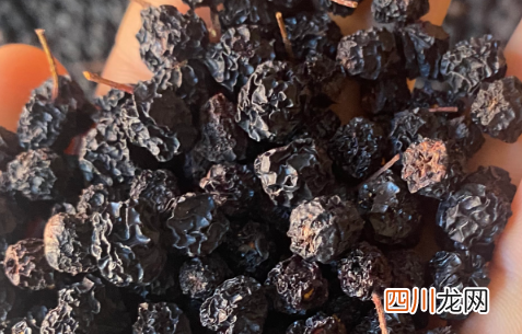俄罗斯黑果是黑果花楸吗