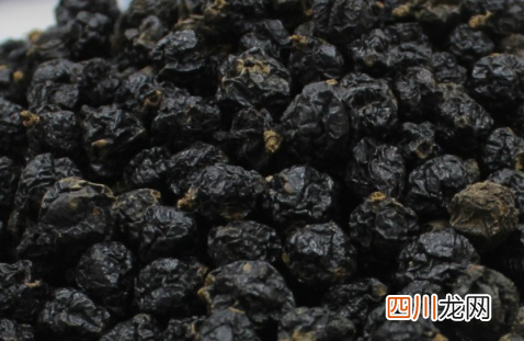俄罗斯黑果是黑果花楸吗