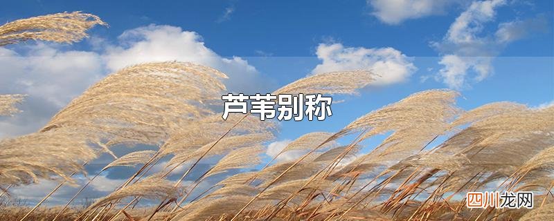 芦苇别称