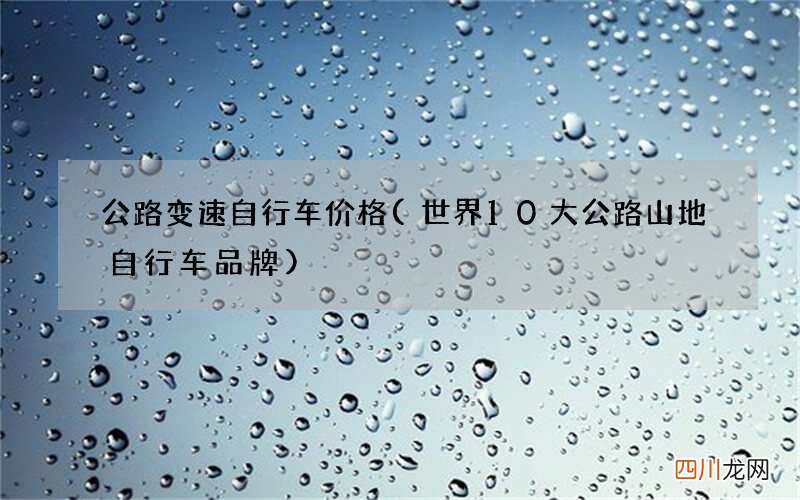 世界10大公路山地自行车品牌 公路变速自行车价格