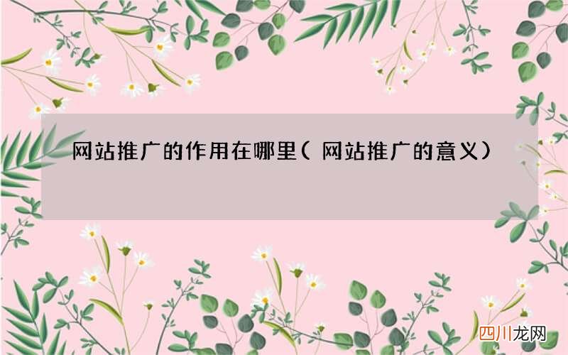 网站推广的意义 网站推广的作用在哪里