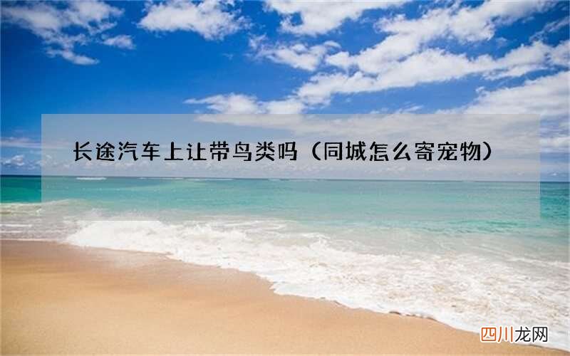 同城怎么寄宠物 长途汽车上让带鸟类吗