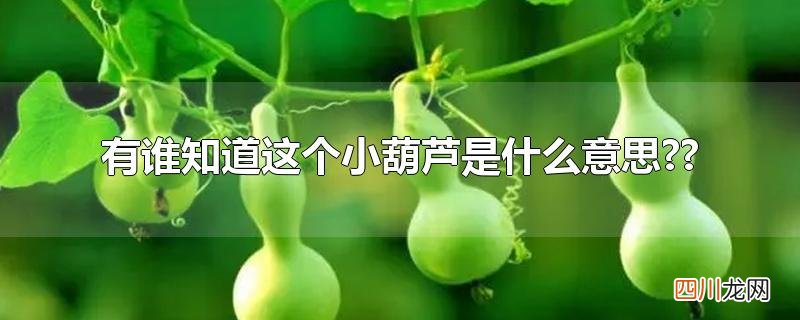 有谁知道这个小葫芦是什么意思??