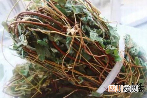鸡骨草的功效与作用-食用方法及禁忌