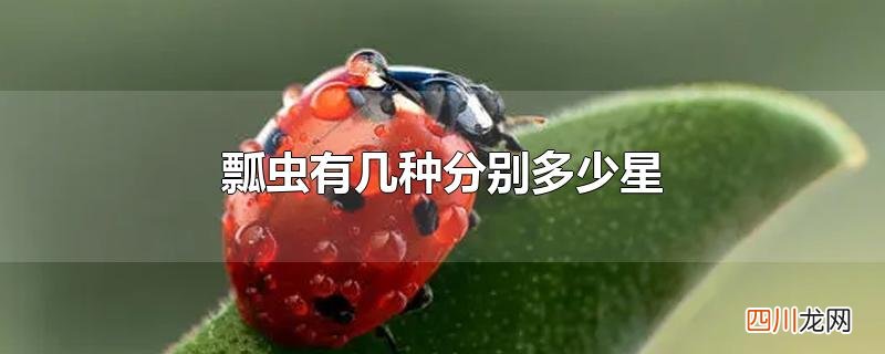 瓢虫有几种分别多少星