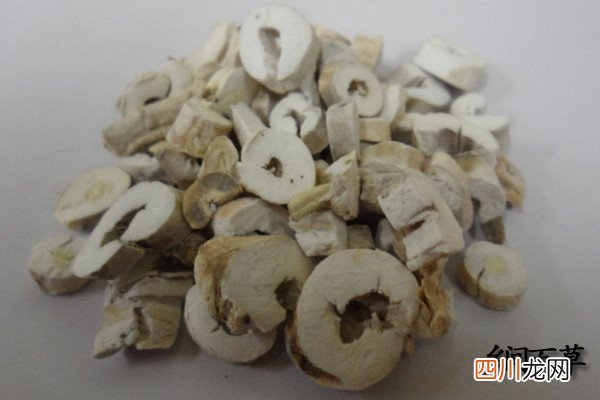 丹皮的功效与作用及禁忌