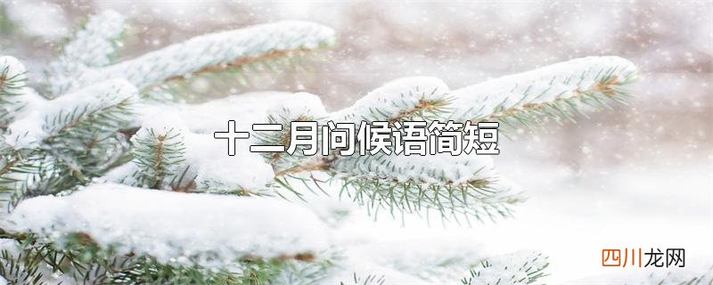 十二月问候语简短
