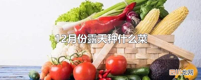 12月份露天种什么菜