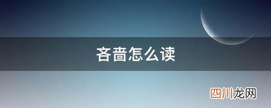 吝啬拼音 什么意思？ 吝啬怎么读