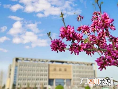 西安四大臭名昭著的大学 西安交通大学占地面积
