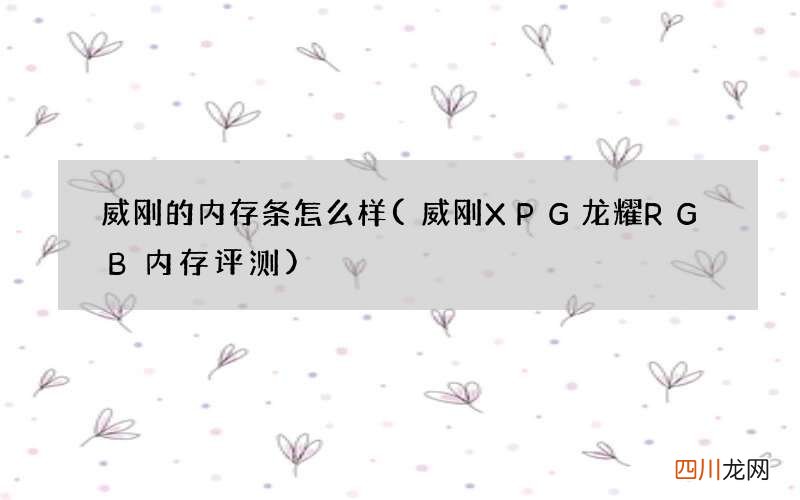 威刚XPG龙耀RGB内存评测 威刚的内存条怎么样