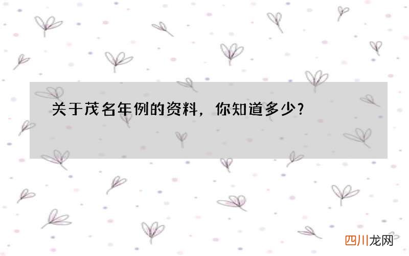 关于茂名年例的资料，你知道多少？