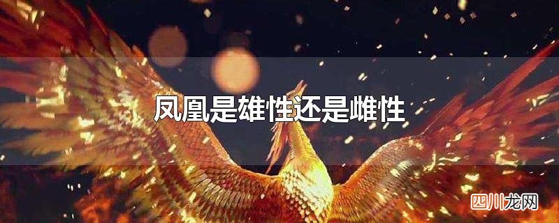 凤凰是雄性还是雌性