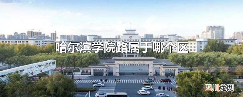 哈尔滨学院路属于哪个区
