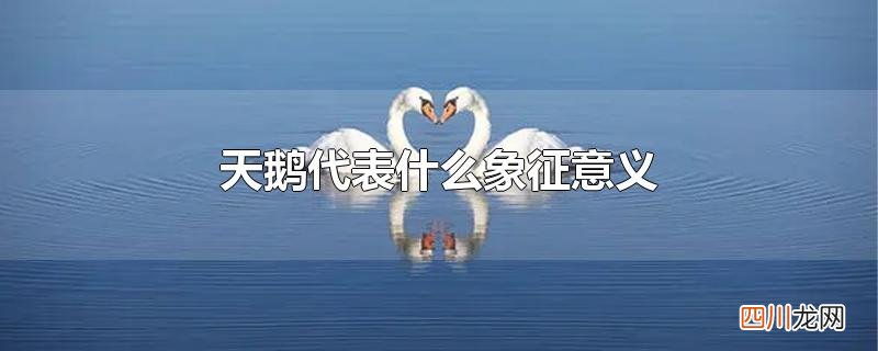 天鹅代表什么象征意义
