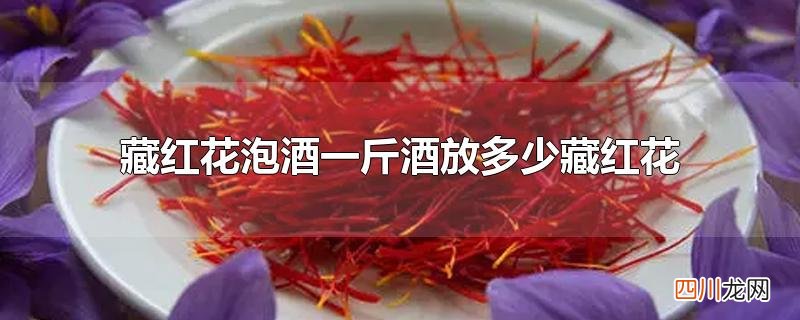 藏红花泡酒一斤酒放多少藏红花