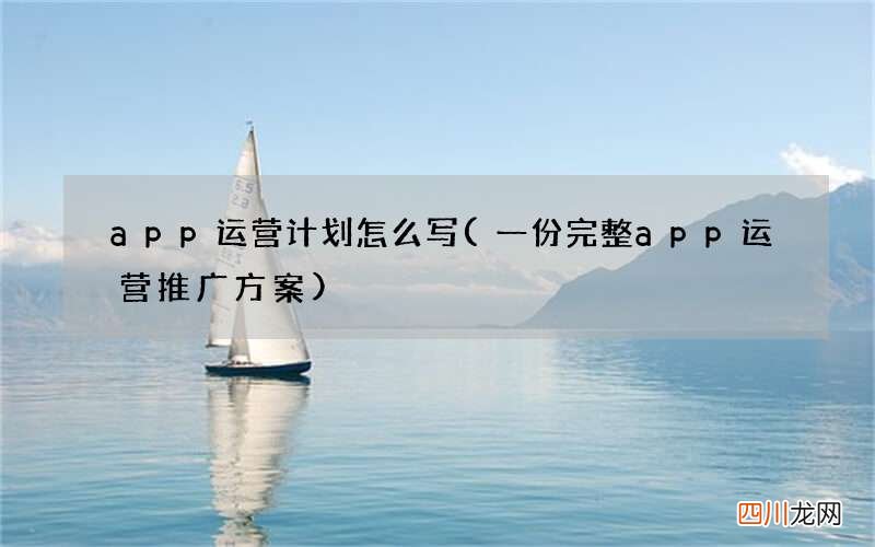一份完整app运营推广方案 app运营计划怎么写