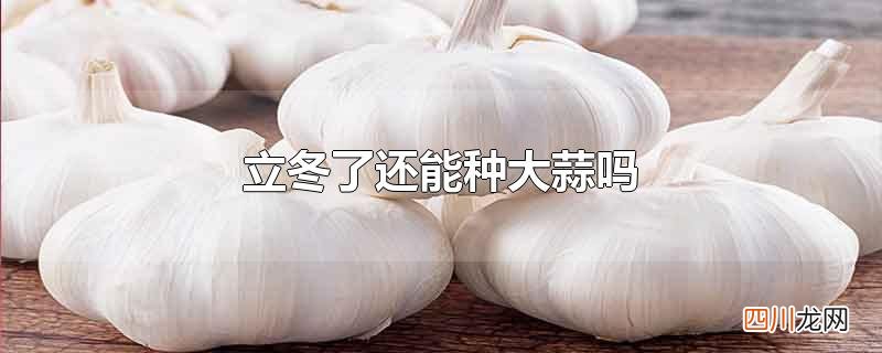 立冬了还能种大蒜吗