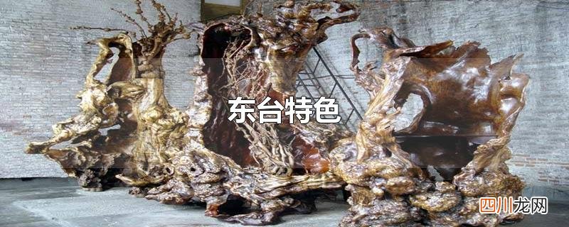 东台特色