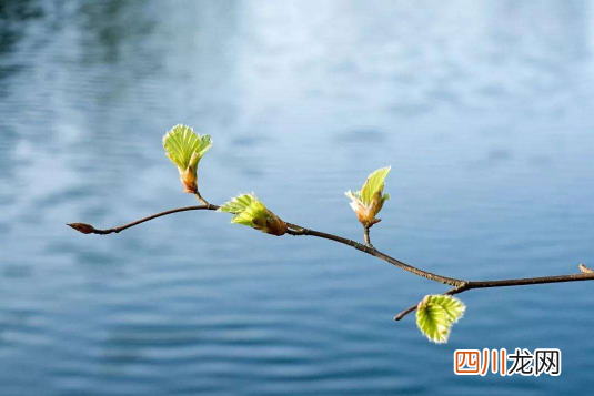 躲春自己家人也要避开吗
