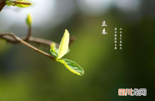 躲春白天可以见阳光吗