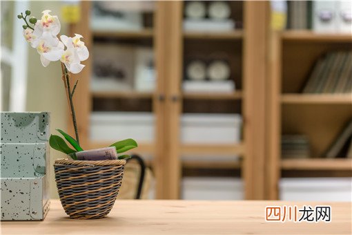 客厅最适合摆放什么植物？客厅摆放植物有哪些禁忌？