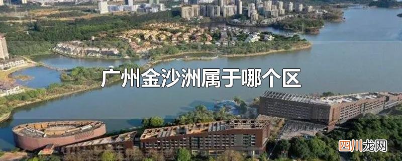 广州金沙洲属于哪个区