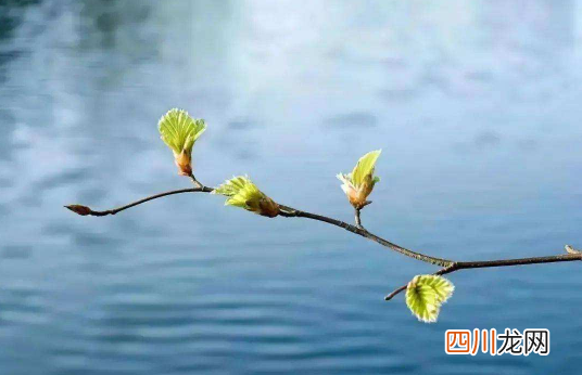 躲春就躲几分钟可以吗