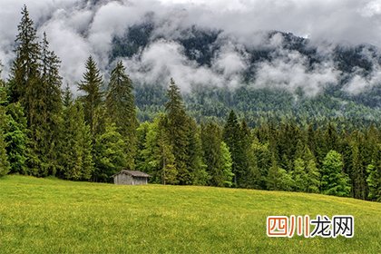 2022年农历二月初四日子吉利吗？当日吉时查询