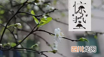 今年惊蛰是几号几点几分2022年？惊蛰适合种什么农作物？
