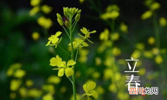 躲春的时候可以做针线活吗