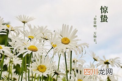 惊蛰禁忌有哪些？2022年惊蛰节气是几时几分？