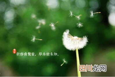 2022虎年惊蛰是吉利的好日子吗？二十四节气惊蛰的诗词