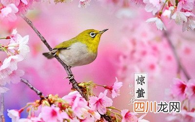 2022年惊蛰那天结婚可以吗？是适合婚嫁的黄道吉日吗？