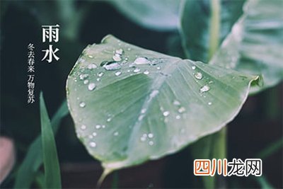 雨水是什么日子？2022年雨水节气卦象吉利吗？