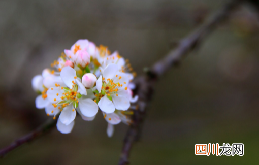 躲春过了12点就可以出门了吗