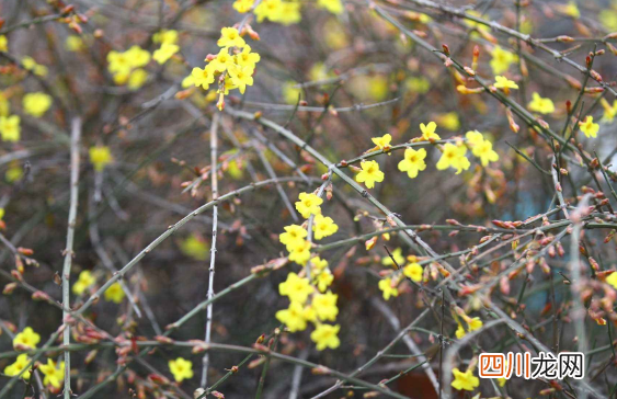 躲春躲立春的一分钟可以吗