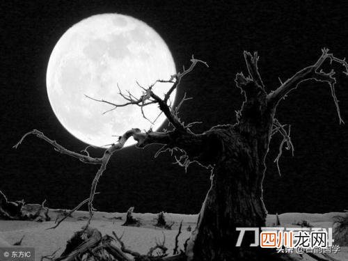写出27篇较短的文言文以及翻译 较短的文言文加翻译 27篇